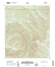 US Topo 7.5-minute map for Bashi AL