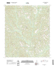 US Topo 7.5-minute map for Bluff Springs AL