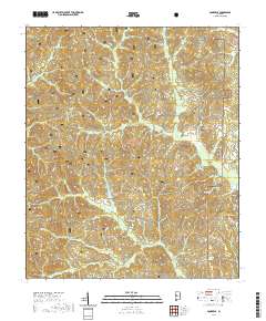 USGS US Topo 7.5-minute map for Pondville AL 2021