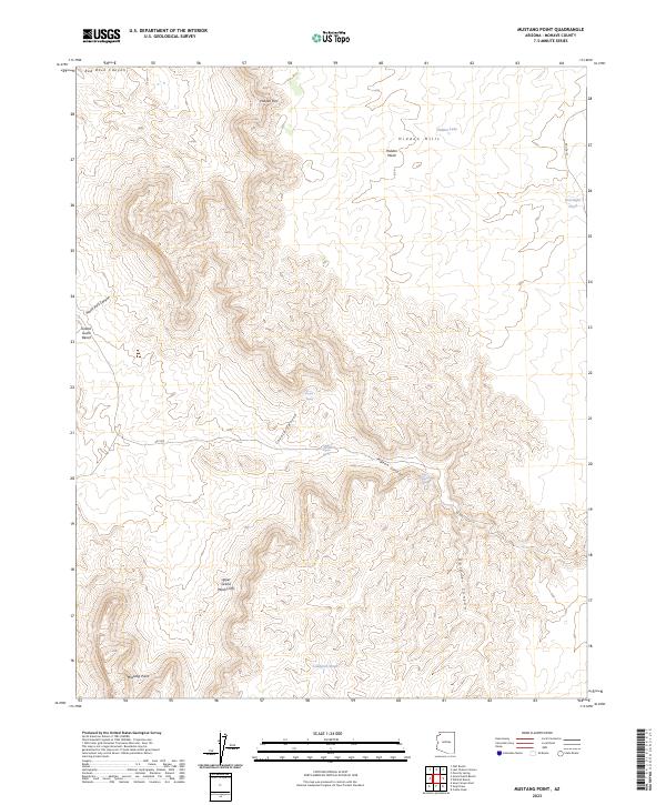 US Topo 7.5-minute map for Mustang Point AZ