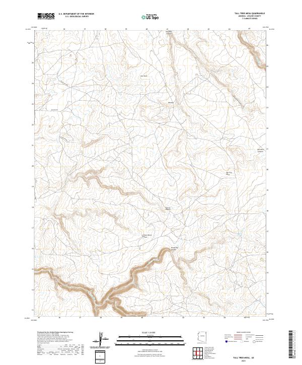 US Topo 7.5-minute map for Tall Tree Mesa AZ