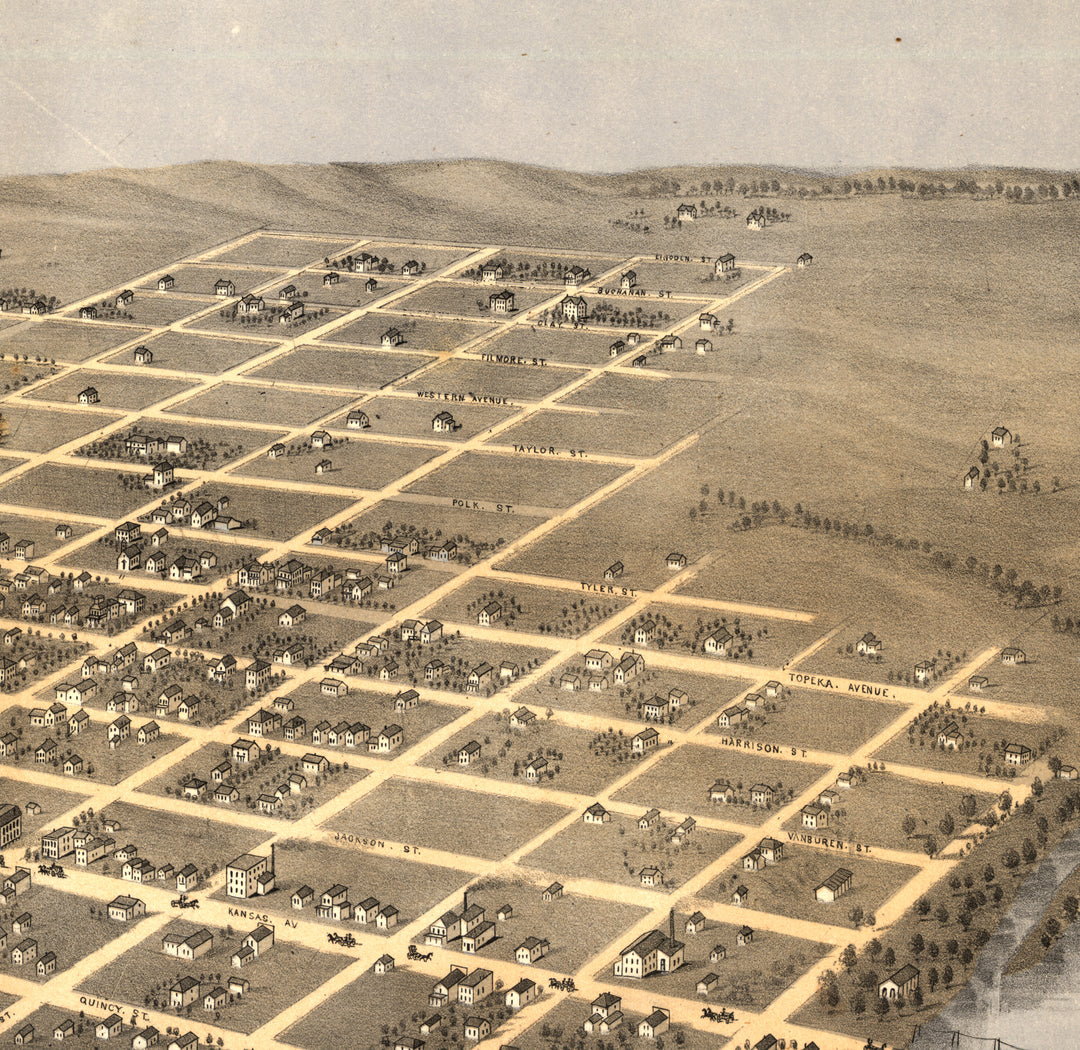 Bird&