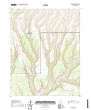 US Topo 7.5-minute map for Moccasin Mesa CO