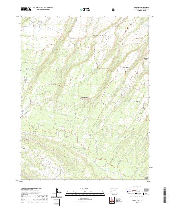 US Topo 7.5-minute map for Moore Mesa CO