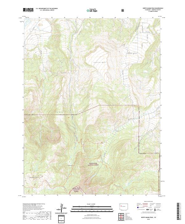 US Topo 7.5-minute map for North Mamm Peak CO