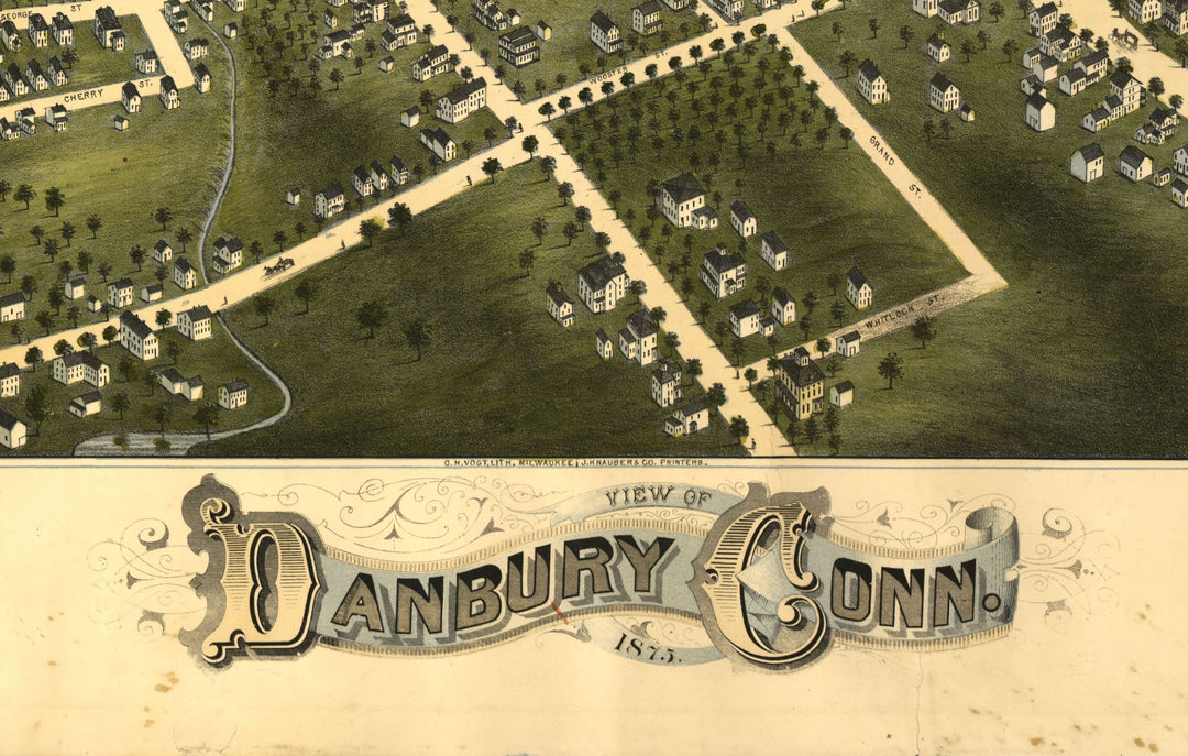 Birds Eye View of Danbury, 1875