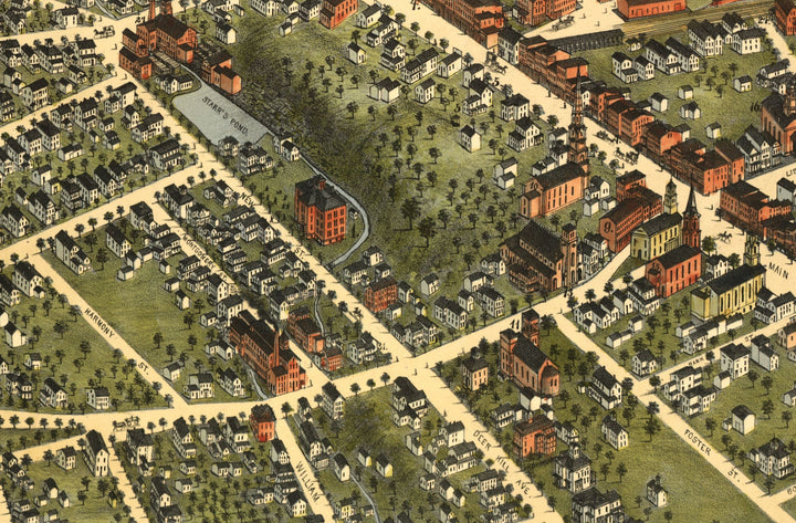 Birds Eye View of Danbury, 1875