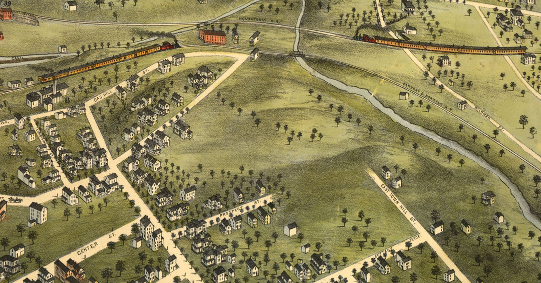 Birds Eye View of Danbury, 1875