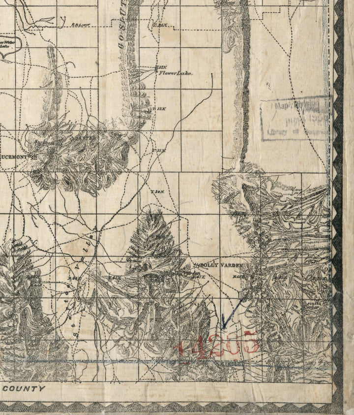 Map of Elko County, Nevada, 1894
