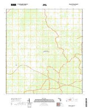 USGS US Topo 7.5-minute map for Airplane Prairie FL 2021