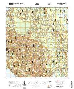 USGS US Topo 7.5-minute map for Alexander Springs FL 2021