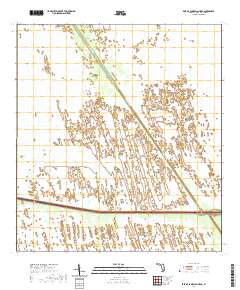 USGS US Topo 7.5-minute map for East of Lone Palm Head FL 2021