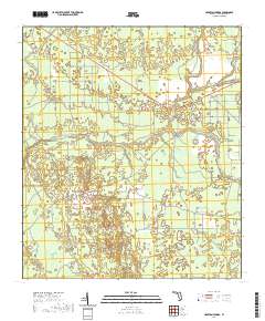 USGS US Topo 7.5-minute map for Hampton Springs FL 2021