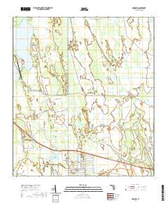 USGS US Topo 7.5-minute map for Holopaw FL 2021