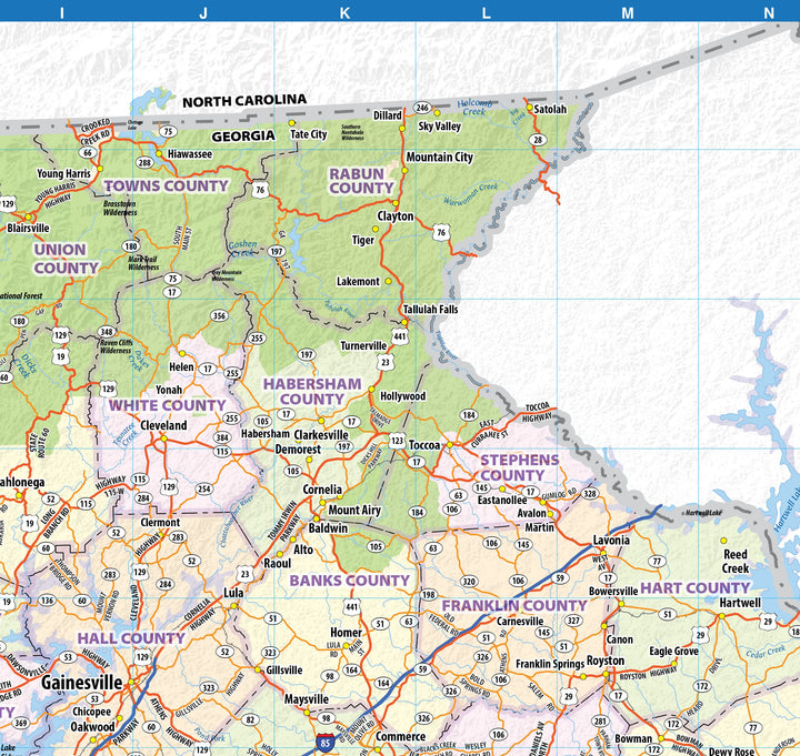Georgia Wall Map by Topographics Maps