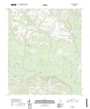 US Topo 7.5-minute map for Altamaha GA