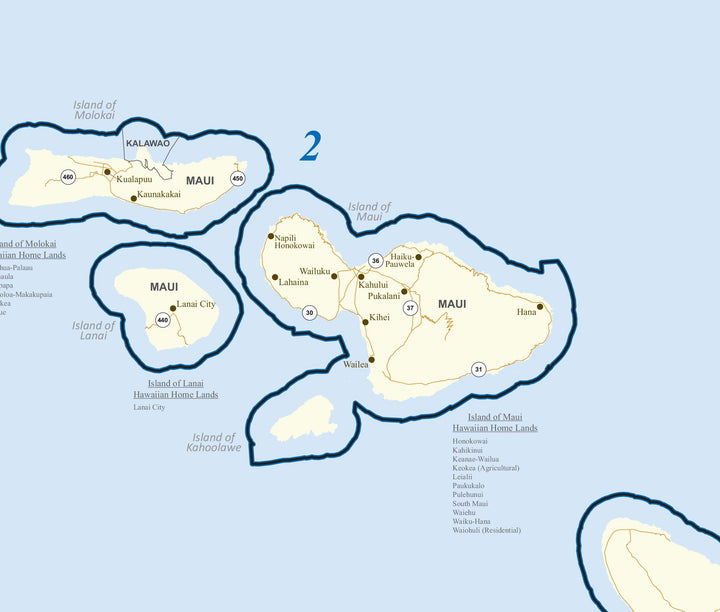 Hawaii Congressional District Wall Map