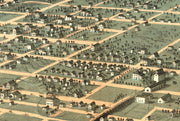 Bird's Eye View of Iowa City, 1868