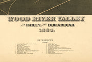 Wood River Valley with Hailey in the Foreground, 1884