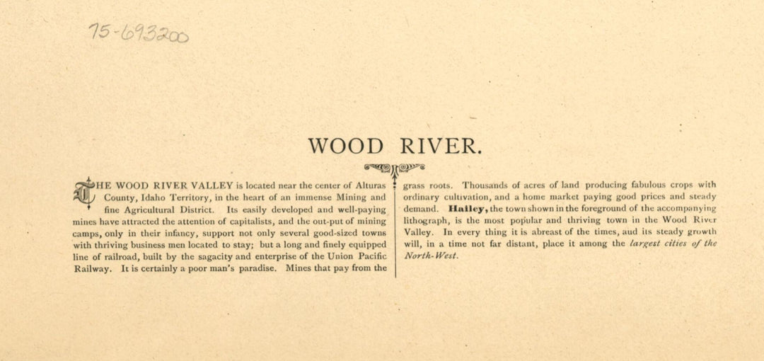 Wood River Valley with Hailey in the Foreground, 1884