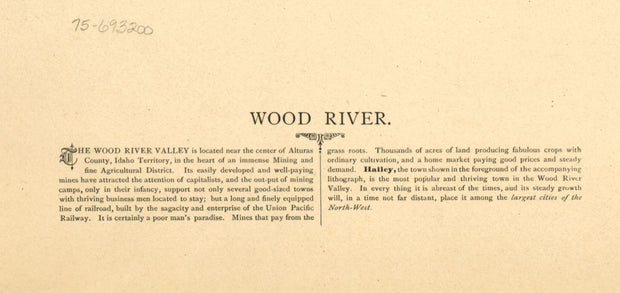 Wood River Valley with Hailey in the Foreground, 1884