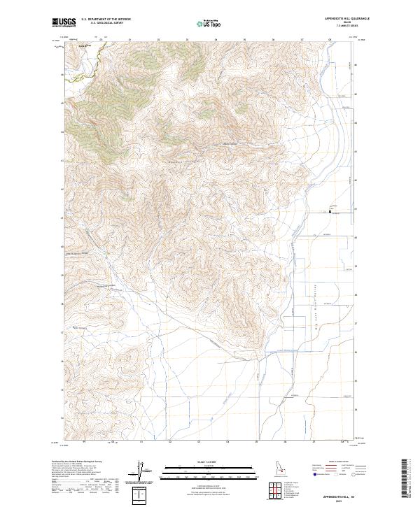 US Topo 7.5-minute map for Appendicitis Hill ID