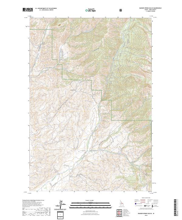 US Topo 7.5-minute map for Badger Spring Gulch ID