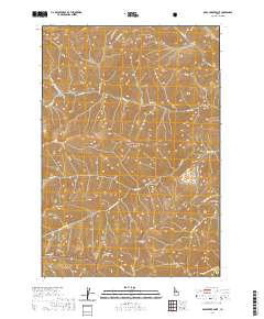USGS US Topo 7.5-minute map for Bear Creek Point ID 2020