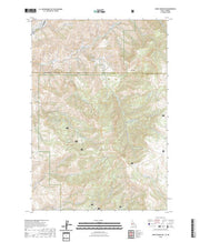 US Topo 7.5-minute map for Cuddy Mountain IDOR