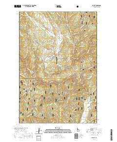 USGS US Topo 7.5-minute map for Elk City ID 2020