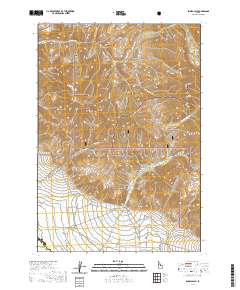 USGS US Topo 7.5-minute map for Ennis Gulch ID 2020