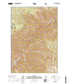 USGS US Topo 7.5-minute map for Fivemile Bar ID 2020