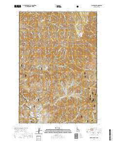 USGS US Topo 7.5-minute map for Grave Point IDOR 2020