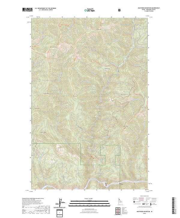 US Topo 7.5-minute map for Mastodon Mountain ID