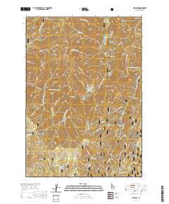 USGS US Topo 7.5-minute map for Pine Flat ID 2020