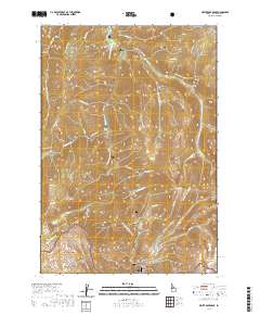 USGS US Topo 7.5-minute map for White Rock Peak ID 2020