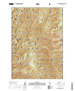 USGS US Topo 7.5-minute map for Whitehawk Mountain ID 2020