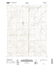 US Topo 7.5-minute map for Dana IL