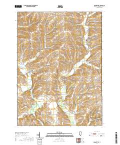 USGS US Topo 7.5-minute map for Orangeville IL 2021