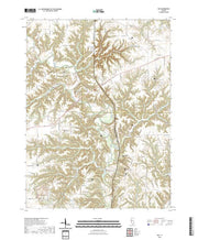 US Topo 7.5-minute map for Ray IL