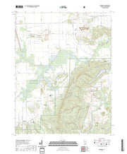 US Topo 7.5-minute map for Rudement IL