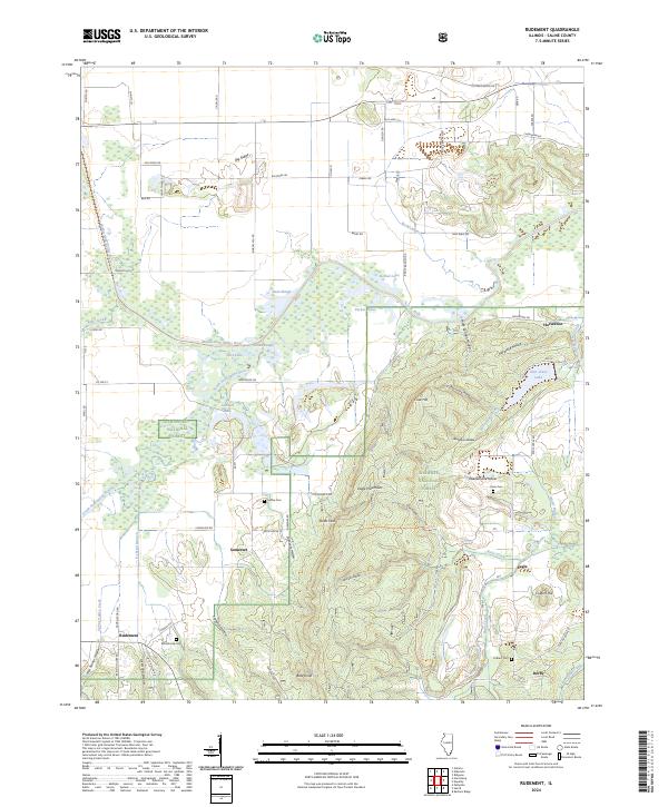 US Topo 7.5-minute map for Rudement IL