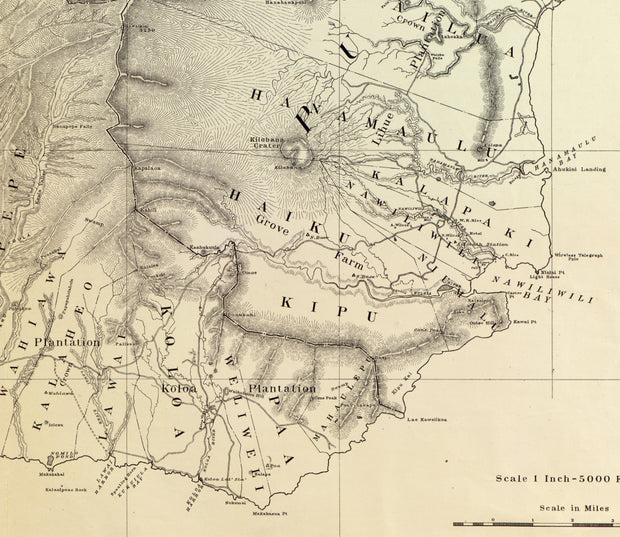 Kauai, Hawaiian Islands, 1903