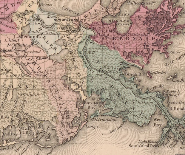 Colton's Louisiana, 1855