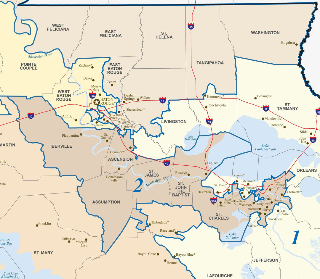 Louisiana Congressional District Wall Map