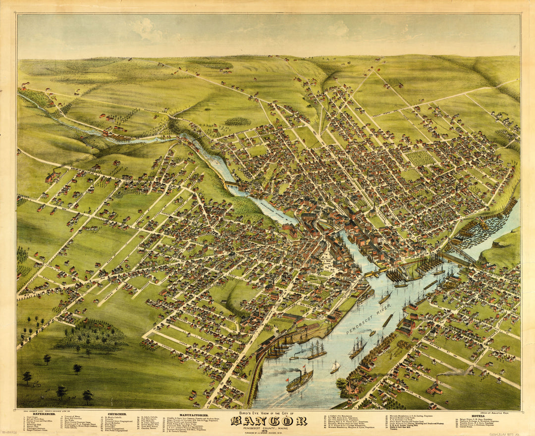 Bird&