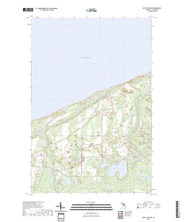 US Topo 7.5-minute map for Betsy Lake NW MI