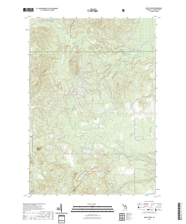 US Topo 7.5-minute map for Bucks Pond MI