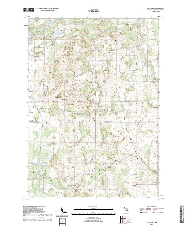 US Topo 7.5-minute map for Butternut MI