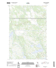 US Topo 7.5-minute map for Driggs Lake SE MI